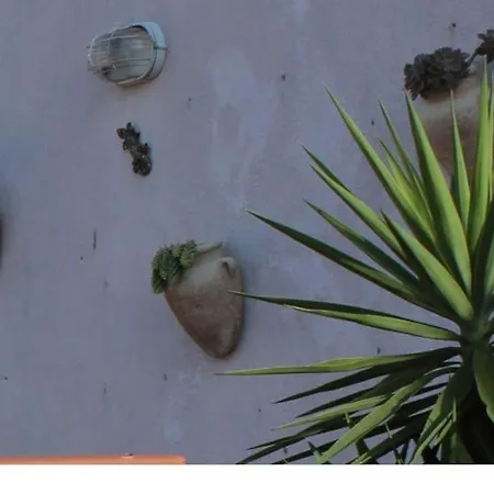 Apartman Roof *