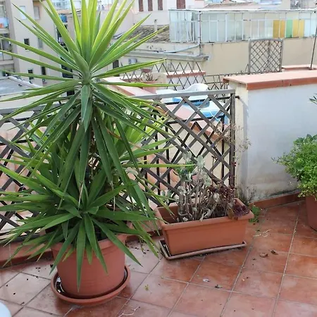 Roof Apartament