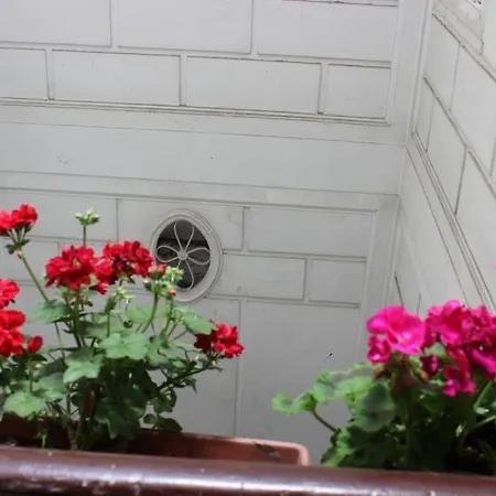 Apartman Roof Palermo