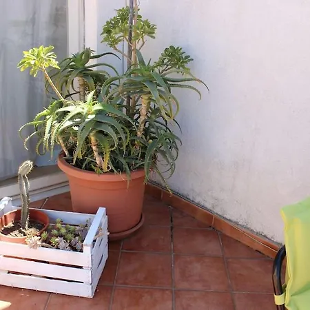 Roof Appartamento