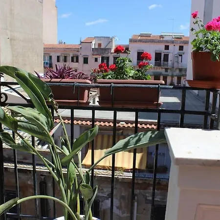 Roof Palermo